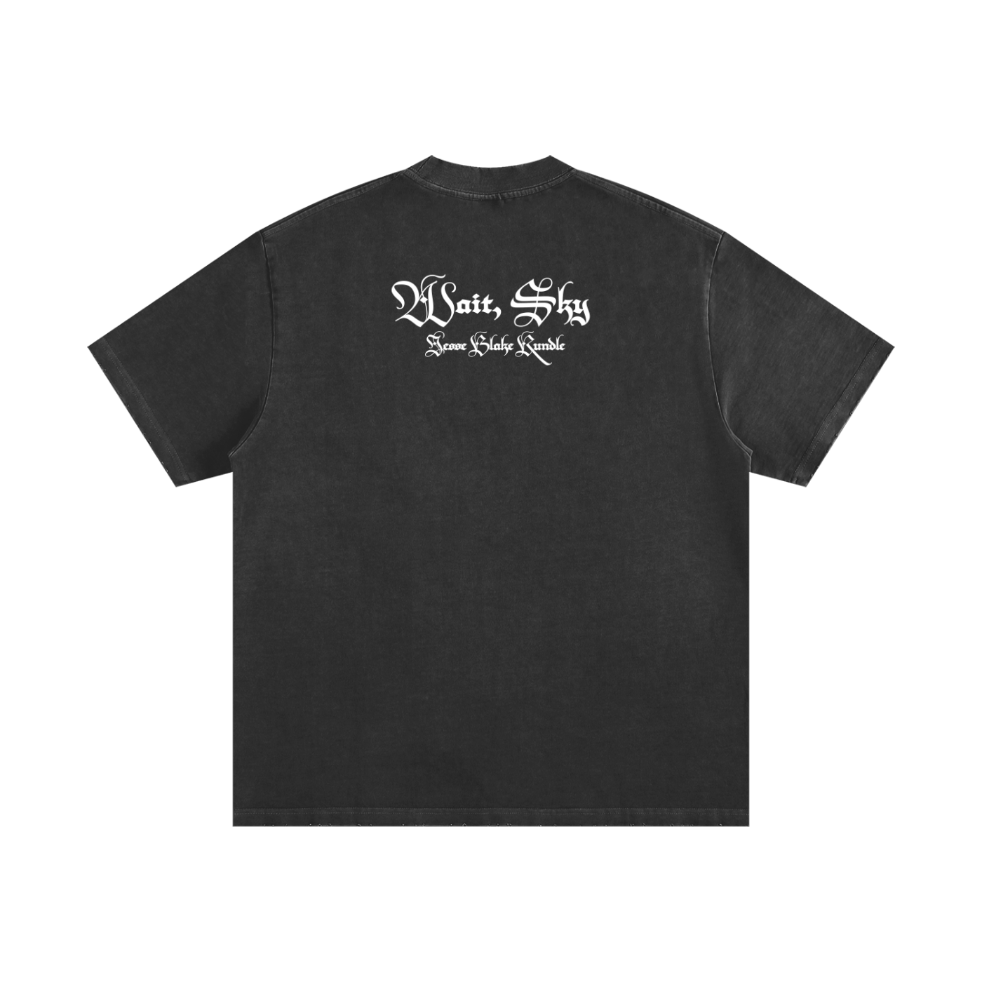 DEPOSE ALL KINGS - Heavyweight Vintage Washed Frayed T-Shirt